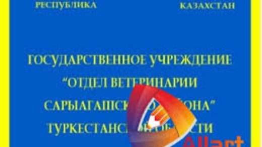 Образец паспорт школы, на русском и на казахском языке
