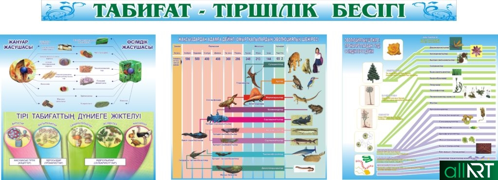 Стенды для кабинета биологии на казахском в векторе [CDR]