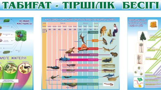 Баннера основа человеческих ценностей на казахском в векторе [CDR]