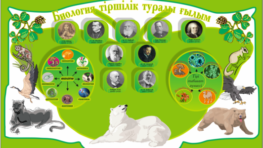 Стенд для кабинета биологии на казахском [CDR]
