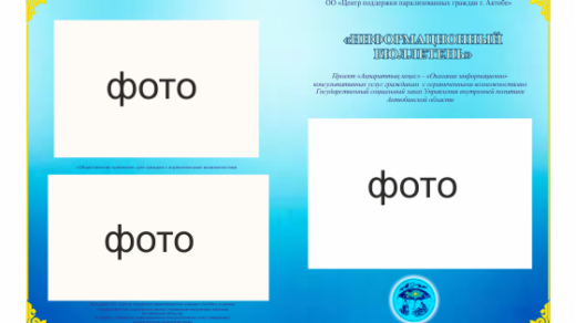 Бюллетень с казахскими орнаментами [CDR]