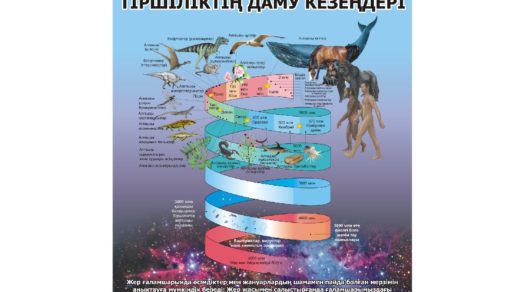 Стенд биологии РК Этапы формирования жизни на Земле, тіршіліктің даму кезеңдері [CDR]