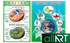 Большой комплект стендов для школы на казахском языке в векторе [CDR]