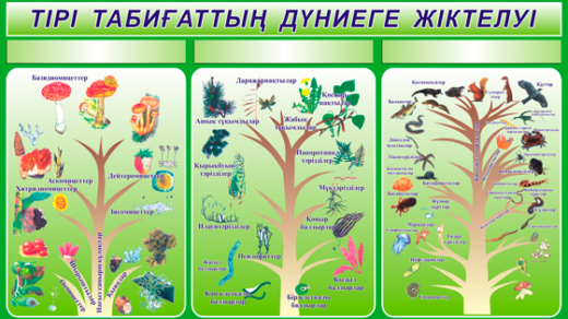 Стенд тірі табиғаттың жіктелуі в векторе [CDR]
