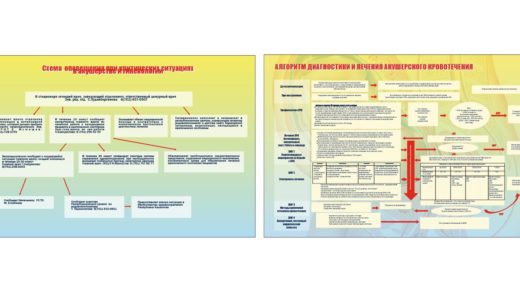Стенд алгоритм диагностики и лечения акушерского кровотечения, схема оповещения при критических ситуациях [CDR]