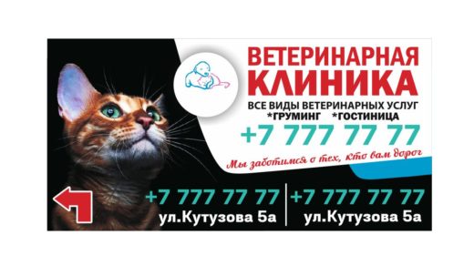 Баннер ветеринарная клиника 3x6m [CDR]