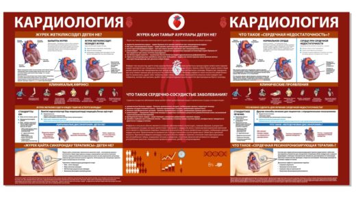 Стенд Кардиология на казахском и русском [CDR]