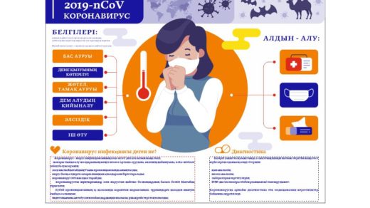 Коронавирус как социальный драйвер трансформации повседневности