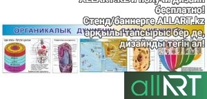 Стенды для кабинета биологии на казахском в векторе [CDR]
