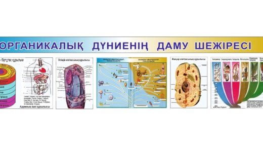 Стенд органикалық дүнинің даму шежіресі [CDR]