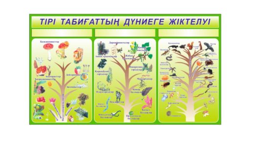 Стенд тірі табиғаттың дүниеге жіктелуі [CDR]