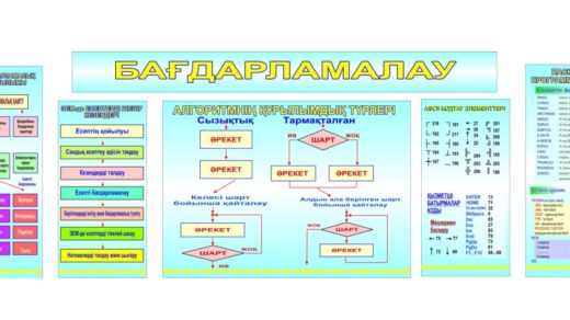 Стенд информатика алгоритмнің құрылымдық түрлері [CDR]