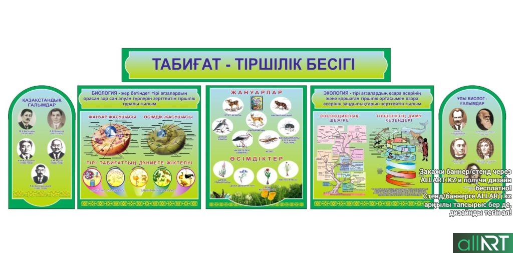Стенд табиғат тіршілік бесігі , стенд биологии на казахском [CDR]