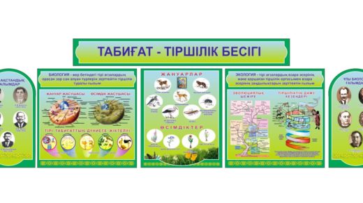 Стенд табиғат тіршілік бесігі , стенд биологии на казахском [CDR]