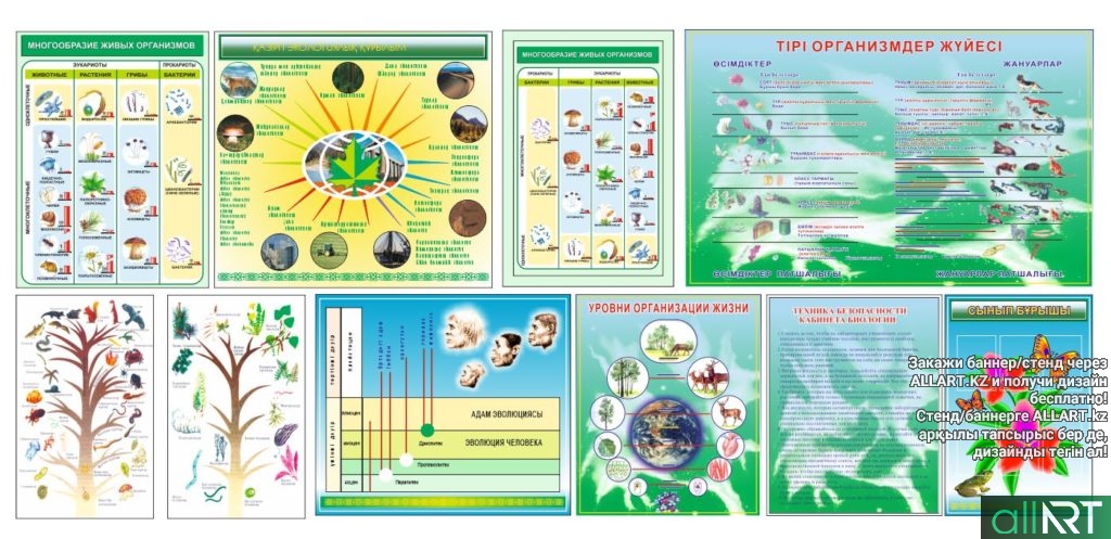 Стенд по биологии, многообразие живых организмов [CDR]