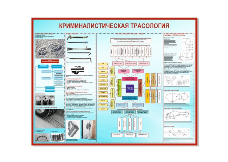 Трасология в криминалистике