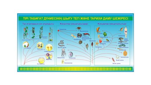 Стенд тірі табиғат дүниесінің шығу тегі және тарихи даму шежіресі [CDR]