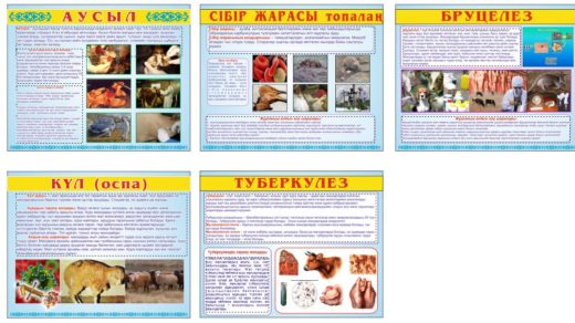 Стенды по ветеринарии на казахском [CDR]