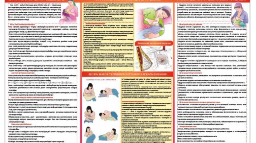Стенд грудное вскармливание, емшекпен емізу [CDR]