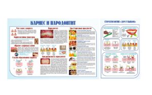 Медицинский плакат , человек в разрезе, вектор на казахском [CDR]