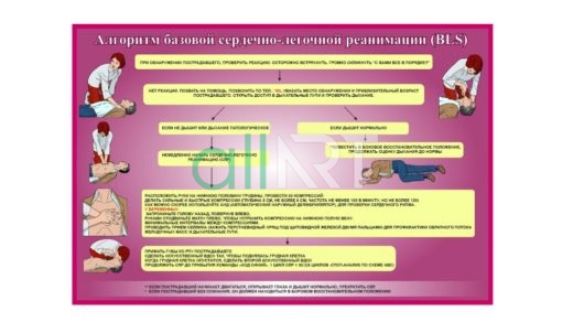 Стенд Алгоритм базовой сердечно-легочной реанимации (BLS) [CDR]