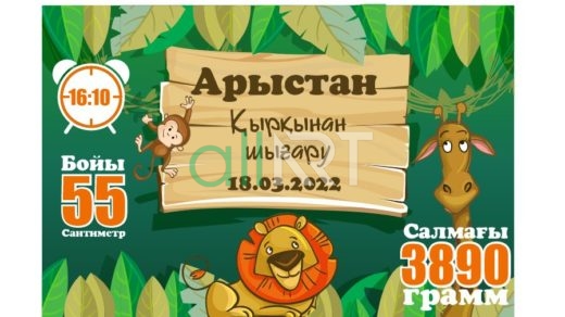 Баннер, магнит, пригласительная қырқынан шығару [CDR]