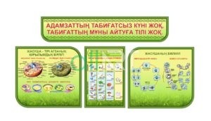 Стенды для кабинета биологии, красная книга, карта экологии Казахстана [CDR]