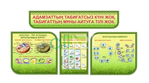 Биология кабинетіне арналған стенд, стенд для кабинета биологии [CDR]