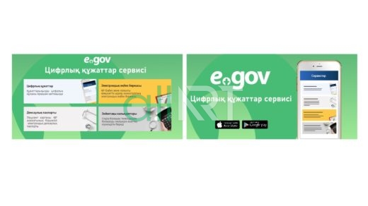 Баннер egov [CDR]