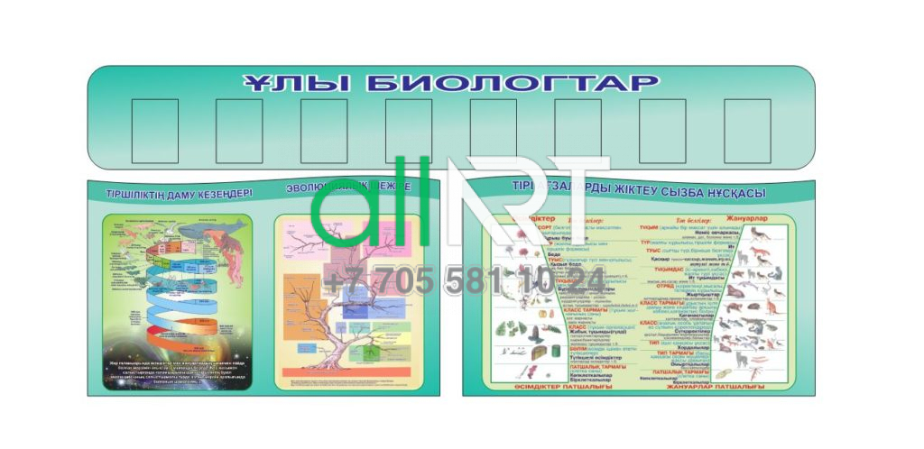 Биология бойынша Стенд, Стенд для кабинета Биологии в векторе [CDR]