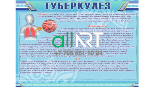 Туберкулез туралы қазақша Стенд [CDR]
