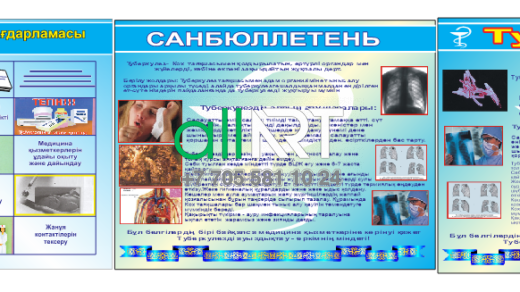 Информационные стенды о туберкулезе / Туберкулез туралы ақпараттық стендтер [CDR]