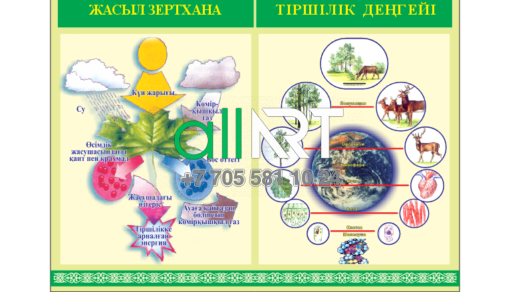 Биология кабинетіне арналған стендтер. Жасыл зертхана,тіршілік деңгейі [CDR]