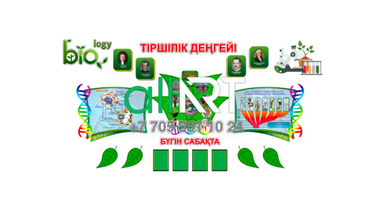 Вектордағы биология кабинетіне арналған Стенд, Стенд для кабинета биологии в векторе [CDR]
