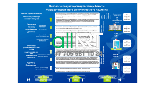 Стенд Онкологиялық науқастың бастапқы бағыты, Маршрут первичного онкологического пациента [CDR]