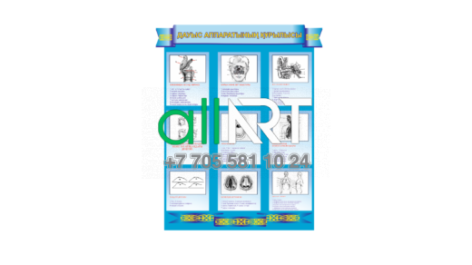 Стенд ДАУЫС АППАРАТЫНЫҢ ҚҰРЫЛЫСЫ [CDR]