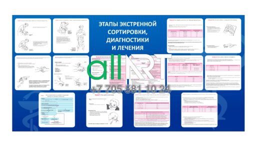 Стенд ЭТАПЫ экстренной сортировки [CDR]