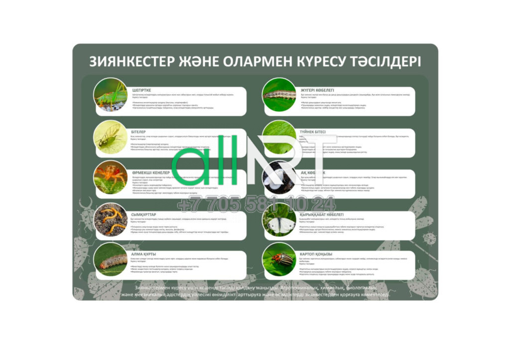 Стенд ЗИЯНКЕСТЕР ЖӘНЕ ОЛАРМЕН КҮРЕСУ ТӘСІЛДЕРІ в векторе [CDR]
