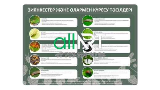 Стенд ЗИЯНКЕСТЕР ЖӘНЕ ОЛАРМЕН КҮРЕСУ ТӘСІЛДЕРІ в векторе [CDR]