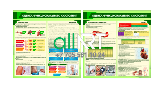Стенд оценка функционального состояние человека [CDR]