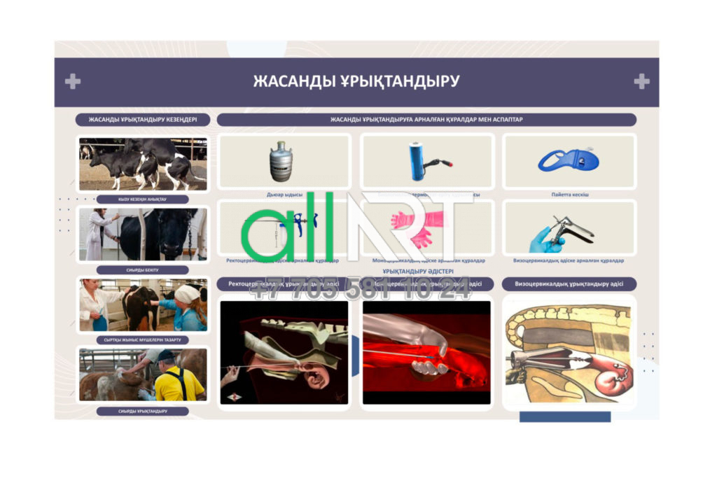 Ветеринария стенді жасанды ұрықтандыру, Стенд по ветеринарии искусственное оплодотворение, [CDR]