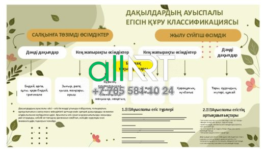 Стенд ДАҚЫЛДАРДЫҢ АУЫСПАЛЫ ЕГІСІН ҚҰРУ КЛАССИФИКАЦИЯСЫ [CDR]
