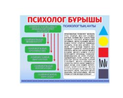 WhatsApp Image 2025-01-12 at 10.57.20